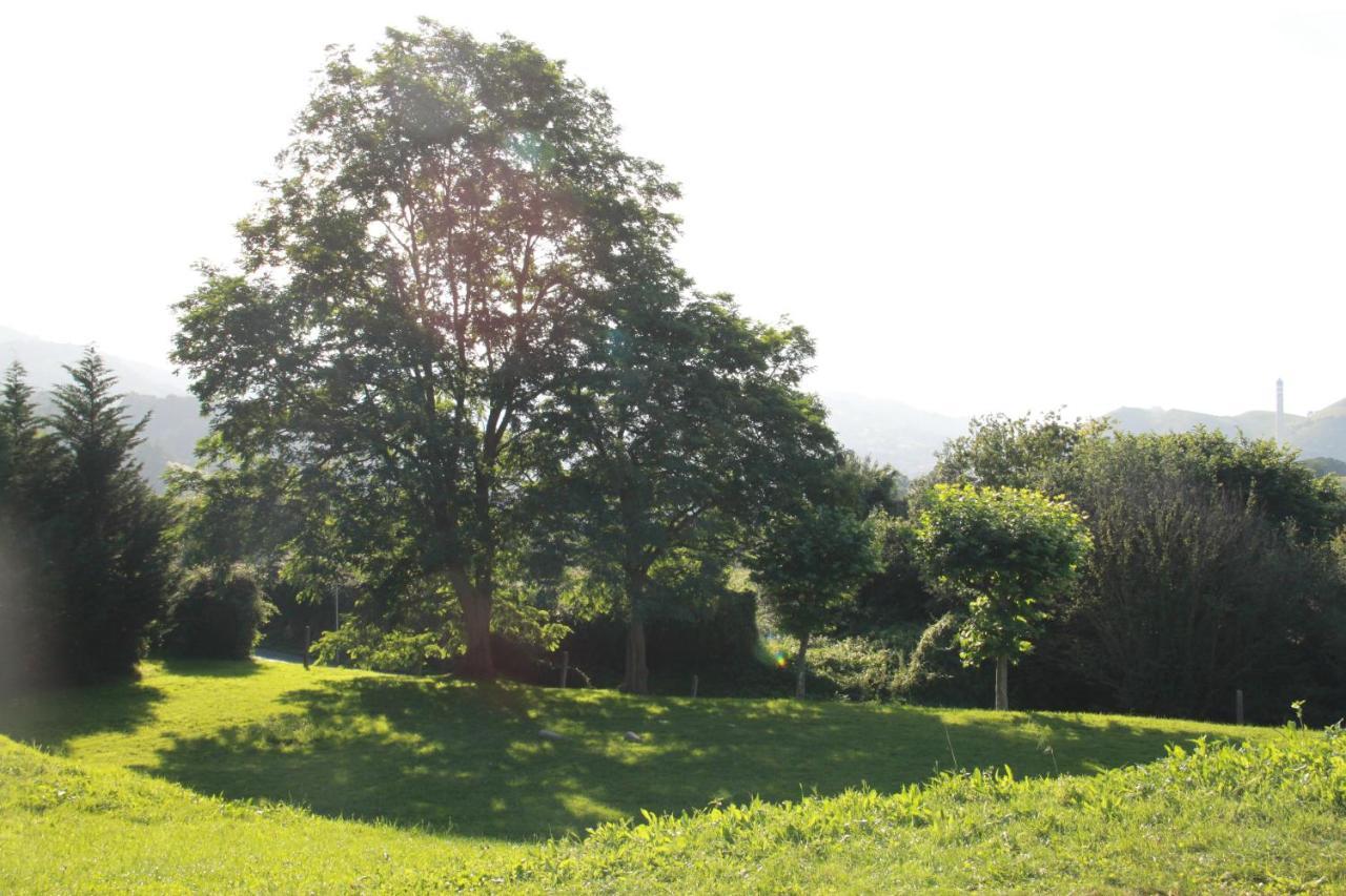 Apartamento Rural Zuri Cotorrio Exterior foto