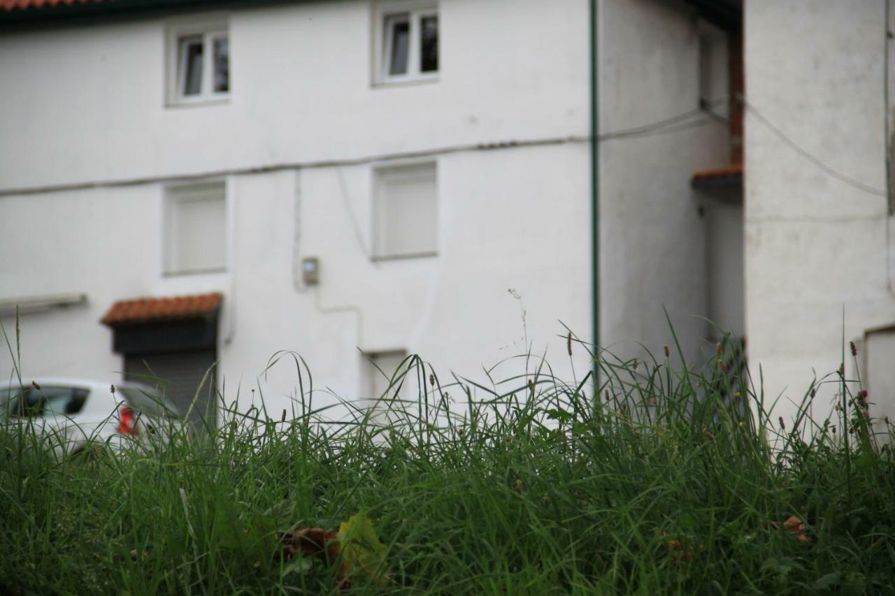 Apartamento Rural Zuri Cotorrio Exterior foto